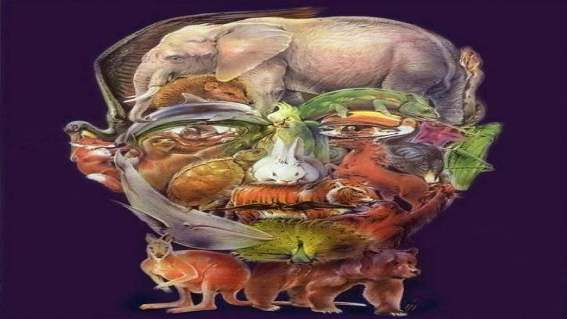 Ice fishing live demo - Reeling in the Cold in Canada: An Ice Fishing Experience